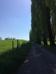 Φυσικό τοπίο κοντά σε αυτό το διαμέρισμα