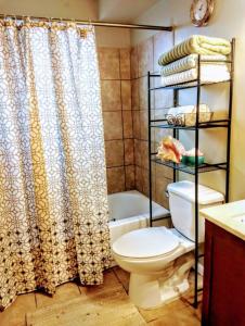 a bathroom with a toilet and a shower curtain at Short North/OSU Pet Friendly! in Columbus