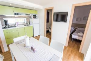 Kuchyň nebo kuchyňský kout v ubytování Mobile home Opal 1