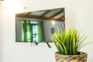 Televízia a/alebo spoločenská miestnosť v ubytovaní Apartments Tarragon