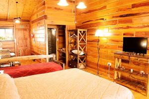 um quarto com paredes de madeira, uma cama e uma televisão em Complejo Apus em La Cumbrecita