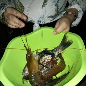 a person holding a plate with a bunch of seafood at Room 2 in Mulu