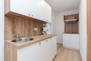 Kuchnia lub aneks kuchenny w obiekcie Mobile home Sea Lion