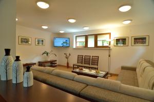 a living room with a couch and a table at Willa Salamandra in Krynica Zdrój