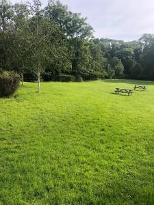 two picnic tables in a field of green grass at Trail Lodge in Ballasalla