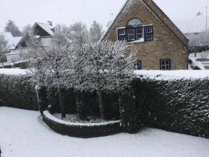 a snow covered yard with two trees in front of a house at B&B Colombe Blanche in Knokke-Heist