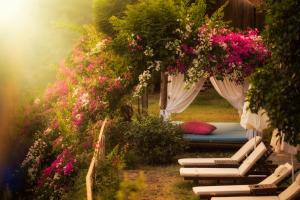 Zahrada ubytování Lissiya Hotel