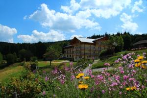 ローベルクにあるBerghotel Mooshütte am Arber, Naturidyll auf 950Hの花畑の丘の上の建物