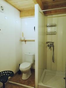 a bathroom with a toilet and a shower at Meublé de tourisme La Jaulipière in Joursac