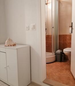 Koupelna v ubytování APARTMENT ARIA + 1 fotografie