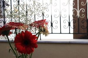 Fotografie z fotogalerie ubytování Filyra Pension v destinaci Nafplio