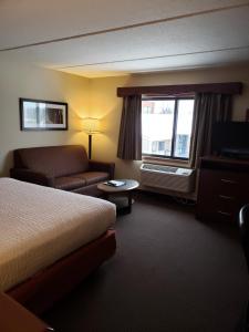 a hotel room with a bed and a couch and a window at AmericInn by Wyndham Iron River in Iron River
