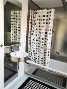 een badkamer met een douchegordijn en een wastafel bij Boardinghouse-Modernes Dachstudio in guter Lage in Erfurt