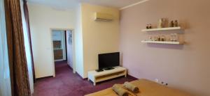 1 dormitorio con 1 cama y TV en Brasna apartment 3-Kupalisko, en Nové Zámky