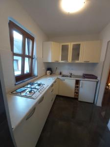 Kuchyň nebo kuchyňský kout v ubytování Apartment Mira