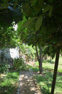 Φωτογραφία από το άλμπουμ του Carneiro Country Houses Casa do Avô σε Carneiro