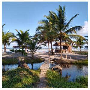 a beach with palm trees and a hut and water at Pousada Villa Graciela in Ilhéus