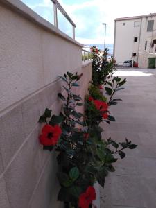 Fotografia z galérie ubytovania Makarska sea view rooms v destinácii Makarska