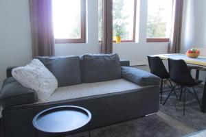 科帕奧尼克的住宿－JOPA Suncani breg，客厅配有沙发和桌子