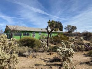 une maison verte au milieu d'un désert dans l'établissement Desert Oasis - Joshua tree peaceful retreat Home, à Yucca Valley