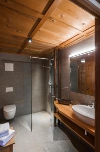 a bathroom with a shower and a sink and a toilet at MESH-Mittereggerschneiderhof in Panzendorf