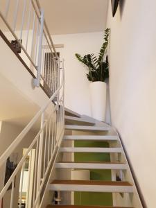 een trap in een huis met een potplant bij Galeriewohnung Ritter Ramm mit kostenlosem Parkplatz und Kamin, Bahnhof fußläufig in Goslar