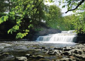 Gallery image of Aysgarth Lodges in Aysgarth