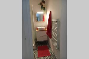 a bathroom with a sink and a red towel at Un petit coin de paradis au centre ville de Caen in Caen