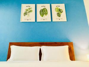 three framed prints of plants on a blue wall above a bed at Eden House & Coffee Con Dao in Con Dao