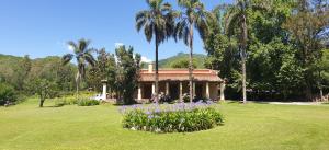 a house in a field with palm trees and flowers at La Sala in Lozano