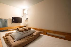 Postel nebo postele na pokoji v ubytování Hotel Owl Tokyo Shinbashi