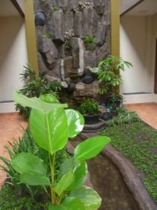 Aed väljaspool majutusasutust Aloha Hotel Yogyakarta