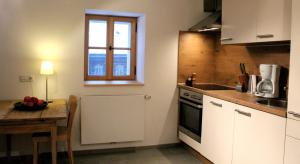 Kuchyňa alebo kuchynka v ubytovaní Apartment Nester