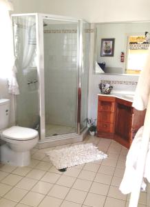 a bathroom with a shower and a toilet and a sink at Milford Country Cottages in Milford