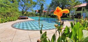 una piscina con una flor de naranja junto a una casa en Blue Turtle Hotel, en Tissamaharama