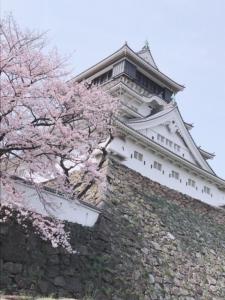 un cerezo frente al castillo osaka en Hotel 1-2-3 Kokura, en Kitakyushu