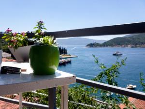 a green plant sitting on a table with a view of the water at Apartments Eftimov in Tivat