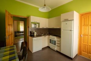 シオーフォクにあるDora Házの緑の壁のキッチン(白い冷蔵庫付)