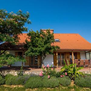 BorászPorta في فيلاني: منزل به سقف برتقالي وبعض الزهور