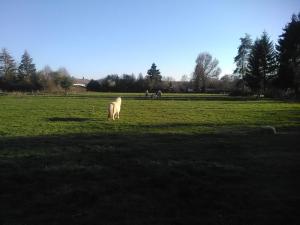Fotografie z fotogalerie ubytování gîte le tilleul de la Fontaine v destinaci Alluy
