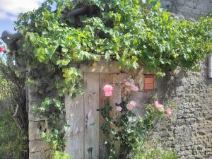 Zahrada ubytování gîte le tilleul de la Fontaine