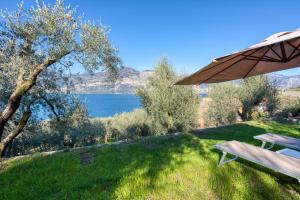 a bench sitting in the grass with a view of a lake at Casa Maya in Brenzone sul Garda