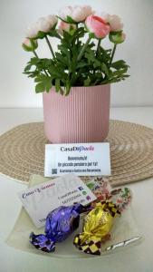 a plant in a pink pot with a flower at CasaDiPaola in Chieti