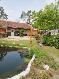 Guesthousen lähellä sijaitseva luonnonmaisema