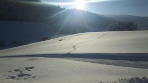 a snow covered hill with the sun in the background at Hotel - Restaurant Gosauerhof in Gosau
