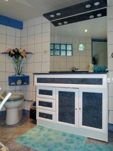 a bathroom with a sink and a toilet at Les dauphins de Mareuil in Mareuil-sur-Cher