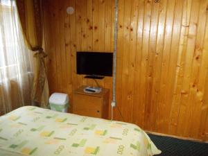 a bedroom with a bed and a tv on a wooden wall at Casa Valea Iancului SINAIA in Sinaia