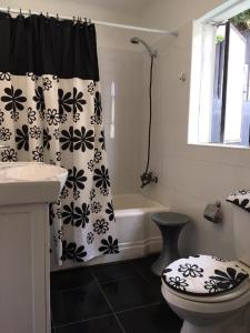 een badkamer met een douchegordijn, een toilet en een bad bij Viña Colores in Viña del Mar