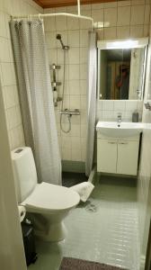 a bathroom with a toilet and a sink and a shower at Petsamo Apartment in Riihimäki