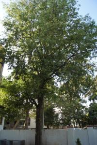 Foto sihtkohas Mysore asuva majutusasutuse Cornerbunker galeriist